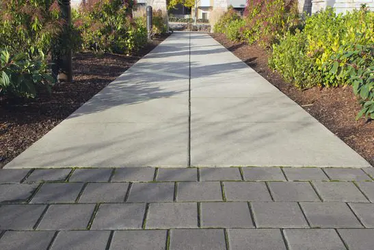 A concrete and brick walkway sidelined by woodchips and shrubs. Part of a commercial landscape design.