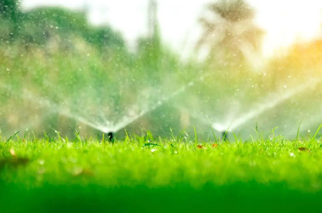 Sprinklers sprinkling a lawn. Part of an irrigation installation, Commercial Landsacping