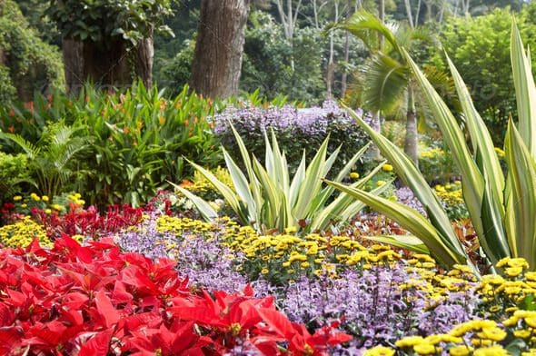 Caretakers Property Maintenance creates stunning floral arrangements as its duties of landscape contractors.