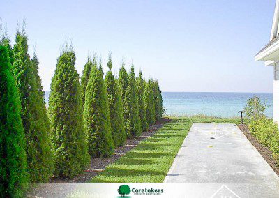 Green Spaces. Discover more landscaping news with caretakers.