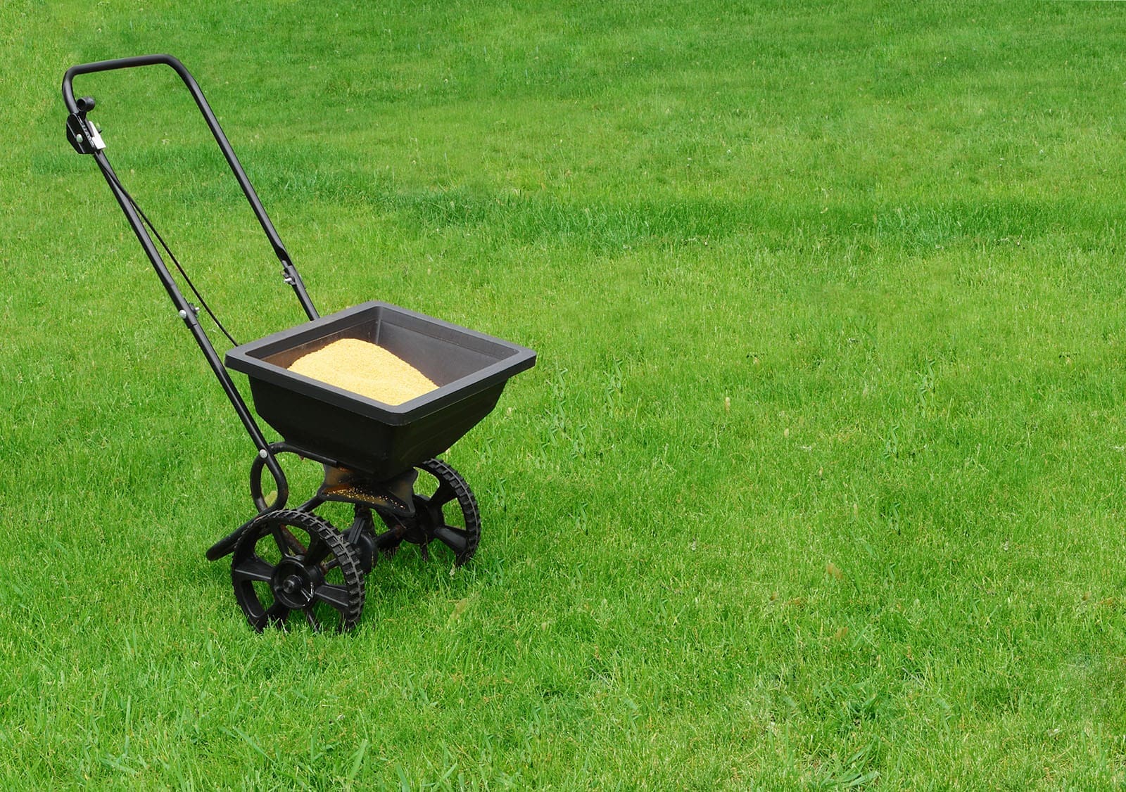 Lawn Fertilizer Services