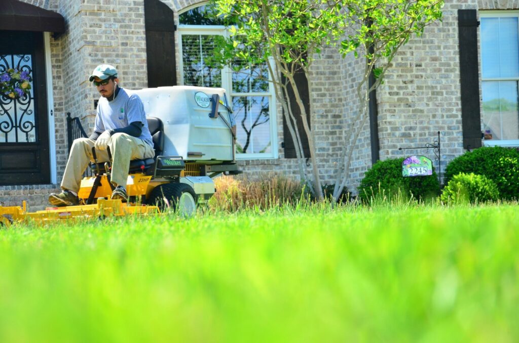 Summer Lawn Care Tips