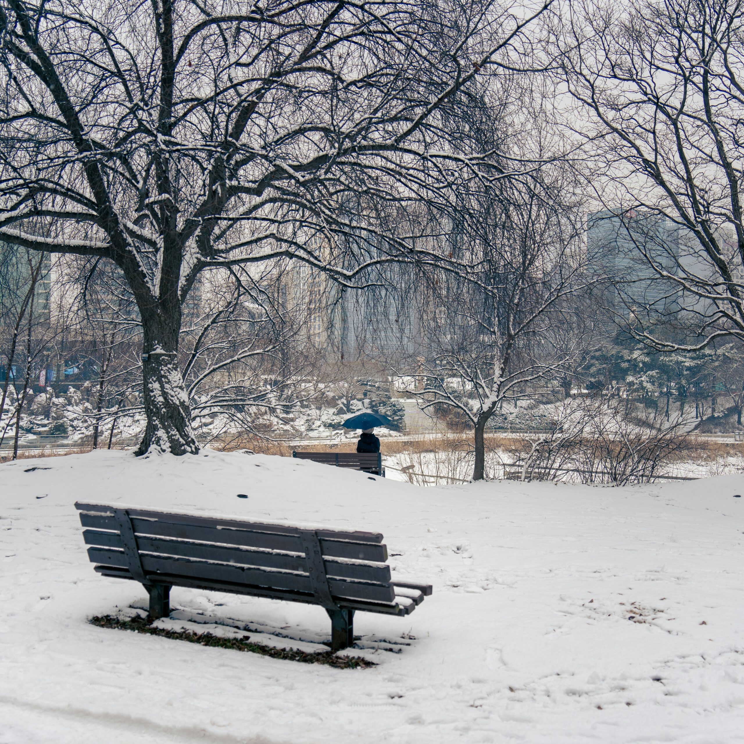 Snow covered bench in park